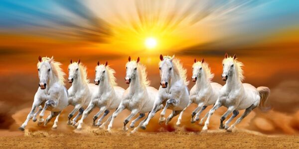 7 White Horse Wallpaper Mural