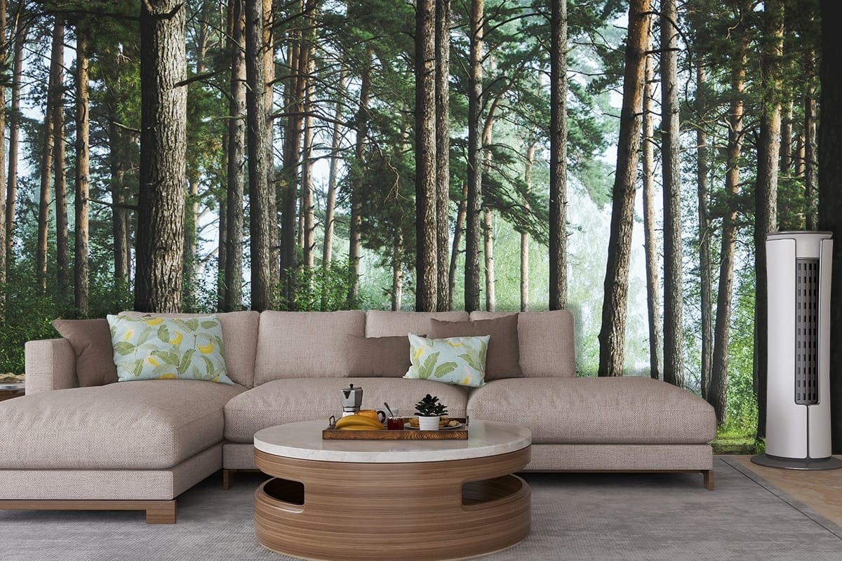 A Wallpaper of a Path through a Nature