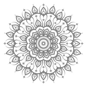 mander desine wallpapers